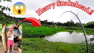 പെരുമ്പാമ്പ് പോലൊരു മീൻ 😱 |Big Monster Snakehead Fishing Kerala Malayalam|A4Anglers