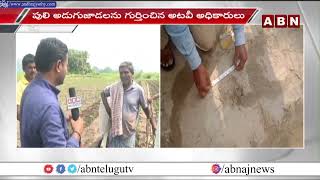 పులి సంచారం.. భయం గుప్పిట్లో గ్రామస్తులు | Peddapalli Dist | ABN Telugu