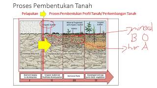 Proses Pembentukan Tanah