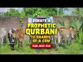 Donate Your Qurbani 2026