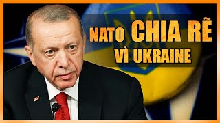 Chiến Sự Nga-Ukraine: Erdogan bắt đầu trò chơi gì bằng cách mời Ukraine gia nhập NATO? | Tin360 News