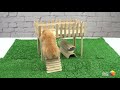 hamster house made with popsicle sticks and glue