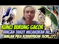 INGIN BURUNG CEPAT GACOR ⁉️ JANGAN PERNAH TAKUT MELAKUKAN INI || TIPS BURUNG CEPAT GACOR