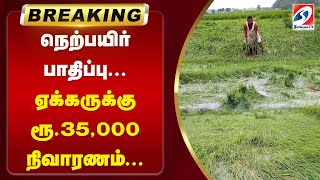 #breaking | நெற்பயிர் பாதிப்பு... ஏக்கருக்கு ரூ.35,000 நிவாரணம்...| paddy field | Thiruvarur