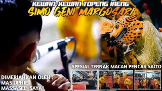 TERNAK MACAN || KEWANAN TOPENG IRENG SIMO GENI BERSAMA MAS UPHIE