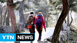 [영상] 초겨울 정취 '흠뻑'...괴산 산막이옛길 / YTN (Yes! Top News)