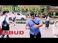 FULL BULE❗️BULAN JULI LIBURANNYA WISATAWAN MANCANEGARA