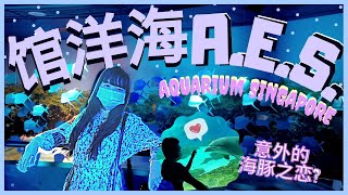 新加坡海洋馆的样貌 | 得到意外的海豚之恋?| SEA Aquarium Singapore@Resorts World Sentosa 2020【新加坡.VLOG】 #07