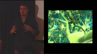 Global Literacy and the Mathematics of Social Evolution: Kali Woodward at TEDxPhoenixville