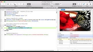 Script Debugger 7: Viewing Variables & Values