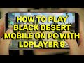 How to play Black Desert Mobile on PC with LDplayer 9