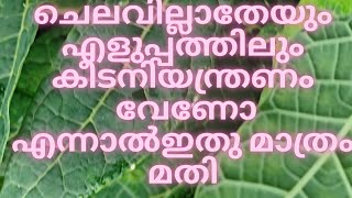 ചെലവില്ലാതെയും എളുപ്പത്തിലും കീടനിയന്ത്രണത്തിന്                      ഇതു മാത്രം മതി