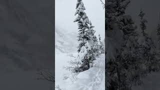 White is beautifull! #snow #winter #shorts