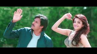 Nee Chepakallu Telugu Video Song   Sardaar Gabbar Singh HD