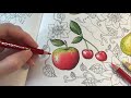 APPLE DRAWING / COLORING | Blomstermandala Coloring Book