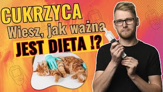 Cukrzyca u kota - OBJAWY, LECZENIE I CODZIENNA OPIEKA !