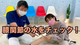 膝関節の水をチェック #shorts