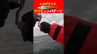 浅場の鰤ヒットパターン‼️【伊勢湾ジギング】@ALUREFC