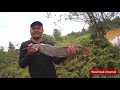 menajur ikan dapat keli besar catfish