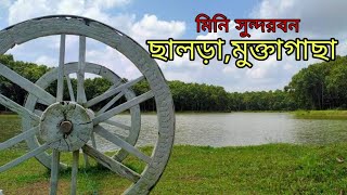 মিনি সুন্দরবন ছালড়া || মুক্তাগাছা উপজেলা || ময়মনসিংহ || Salda || Mymensingh || Mr.Hakim || Suraia