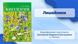 Тема 12. Лишайники