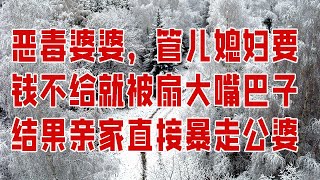 恶毒婆婆，管儿媳妇要钱不给就被扇大嘴巴子结果亲家直接暴走公婆 -  情感故事 2023