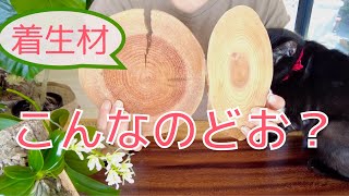 【新作】ずっと使いたかった素材で着生材を作ってみました