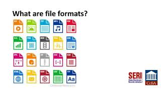 Long-Term Digital Preservation: File Formats