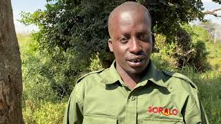 Meet Musa, Wildlife Ranger in Kenya Sponsored by PROJECT RANGER | Great Plains Foundation