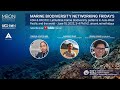 Networking Friday on Latitudinal marine biodiversity patterns in Asia-West Pacific and the world