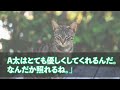 【スカッとする話】不倫した妻が堂々と俺に慰謝料請求？バカをおだてて証拠を出させた結果・・・