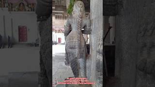 Nayak period woman Hair style on a statue at Srimushnam temple, Cuddalore #shorts