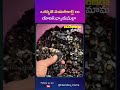 ఒకప్పటి మెమరీకార్డ్ లు యాదికున్నాయనుల్లా factshorts factsintelugu telugufacts idendiramama creative