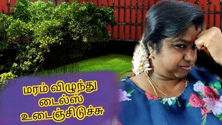 மரம் விழுந்து டைல்ஸ் ஒடஞ்சிய்டுச்சு ☹️#princeashwin #vlog