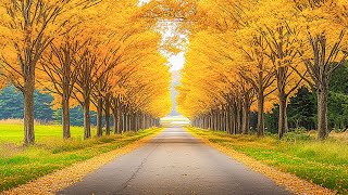 Relaxing Autumn November🍁Great Relaxing Music ~ Cozy Autumn Vibes