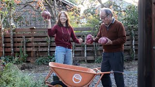 夫と二人の田舎ぐらし/私達の今を最大限に楽しもう