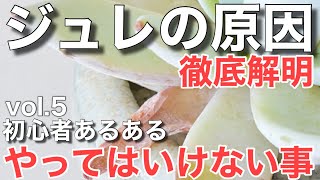 【多肉植物】 水のあげすぎ問題　初心者の方がやってしまいがちな、やってはいけないこと ＃多肉＃多肉植物＃多肉の育て方