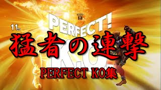 【スト5/SF5】ウメハラ、ＹＨＣ餅、ガルツ、板ザンPERFECT KO集 /Street Fighter 5/v