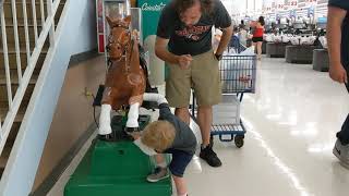 Leo meets Sandy the Meijer horse 6/22/19