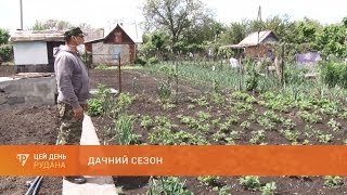 Дачний сезон: посадкові терміни витримані, карантин не зірвав планів дачників