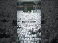 Angel in kaaba ⚪️🌺 #tips #subscribe #alibaba313 #views #trending #nature #shortvideo #foryou 🌺