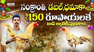 150₹ రూపాయలకే! సంక్రాంతి ఆఫర్ 2 No Birds Harmed,Vilonce, This Video,Educational purpose only