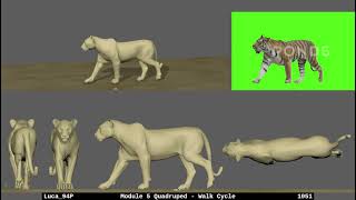 Penna Luca Quadruped   Walk Cycle