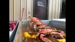 How to Boil Blue Crabs Louisiana Style.