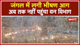 Pakhanjur के जंगल में लगी भीषण आग | अब तक नहीं पहुंचा Forest Department