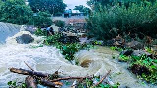 Daily Activity With Importance Clean Dam Drain With Floating Plants Always Flow Clogged After Rain
