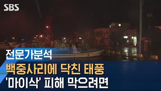 [방제전문가] 백중사리에 닥친 태풍 '마이삭'…피해 막으려면 / SBS