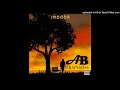 abaphathi indoda feat. ntoh afro pop