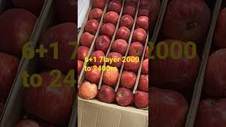 Today pittu rate in hyderabad shimla apple rate in hyderabad 27-08-2022.