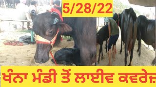 #ਖੰਨਾ ਮੰਡੀ#khanna Mandi#28-05-2022